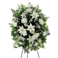 GBYG20-ETERNAL_LIGHT