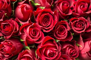 mothers_day_SS_1