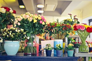 Choosing_the_Right_Flowers